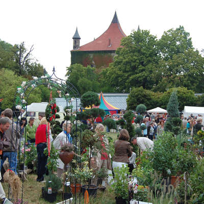 Bild vergrern: Gartenfest vor Schloss Derneburg