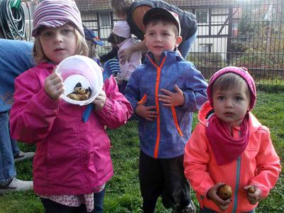 Kartoffelfest in der Kinderkrippe Hackenstedt