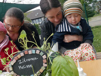 Kr&auml;uterfest und Pflanzaktion in der Krippe der Kita Hackenstedt
