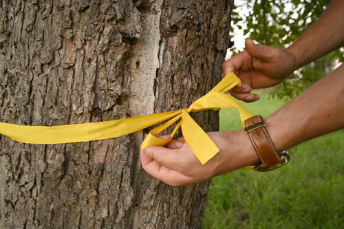 Ernteprojekt-Gelbes-Band-ZEHN