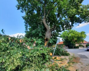 Bild vergr&ouml;&szlig;ern: Sturmschaden_Grasdorf Linde